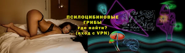 трава Новодвинск