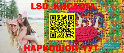 прущие крисы Кингисепп