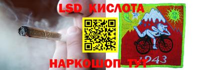 прущие грибы Кимры