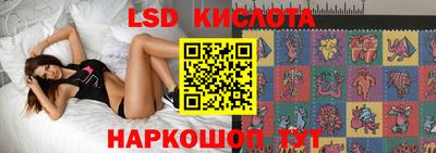 прущие крисы Кингисепп