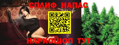 прущие грибы Кимры
