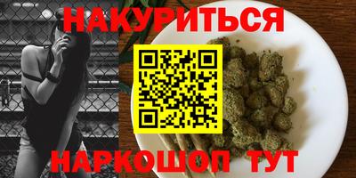 прущие крисы Кингисепп