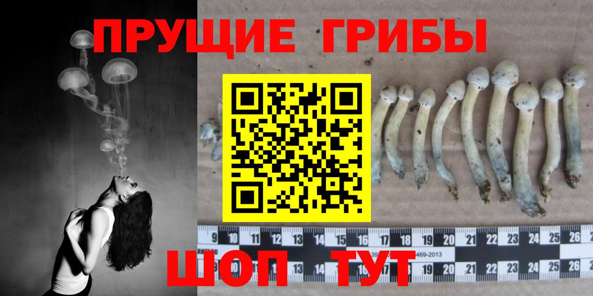 Галлюциногенные грибы Psilocybe Саки