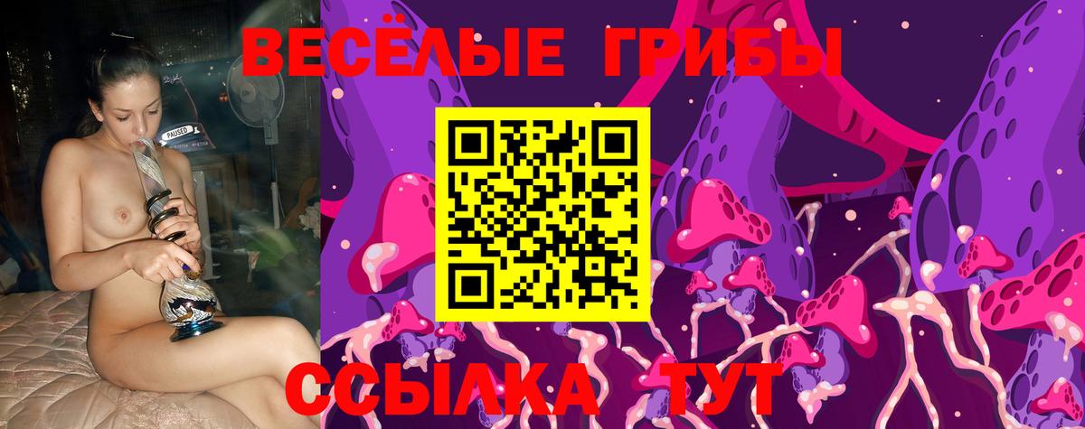Псилоцибиновые грибы MAGIC MUSHROOMS  Вход с VPN  Саки 