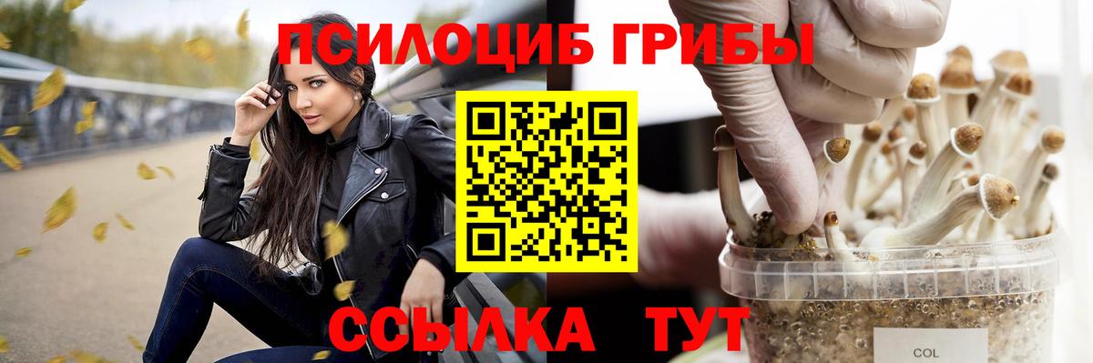 Псилоцибиновые грибы мицелий Саки