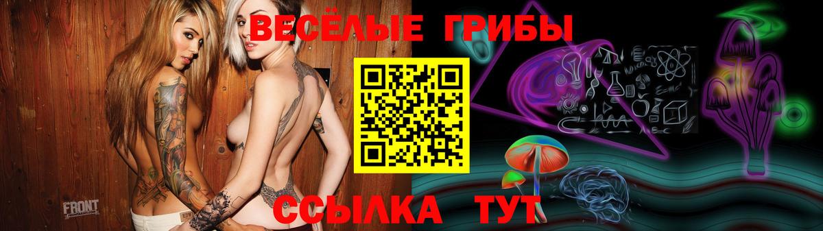 Псилоцибиновые грибы мухоморы  Саки  Псилоцибиновые грибы Psilocybine cubensis 